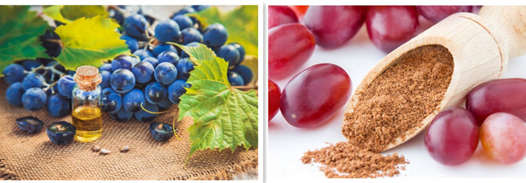 The benefits of Grape Seed Extract.jpg